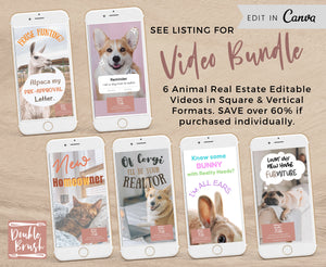 Funny Alpaca House Hunting Animated Video, Real Estate Social Media Marketing Template