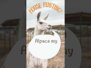 Funny Alpaca House Hunting Animated Video, Real Estate Social Media Marketing Template