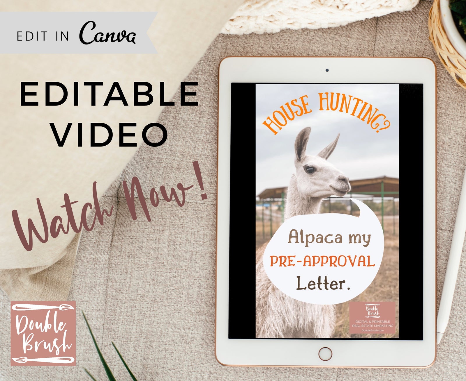 Funny Alpaca House Hunting Animated Video, Real Estate Social Media Marketing Template