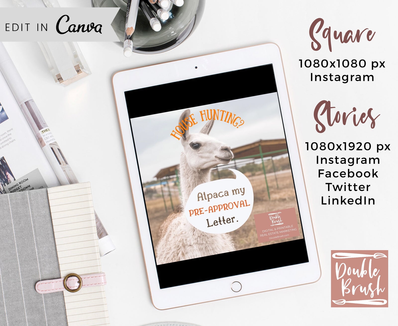 Funny Alpaca House Hunting Animated Video, Real Estate Social Media Marketing Template