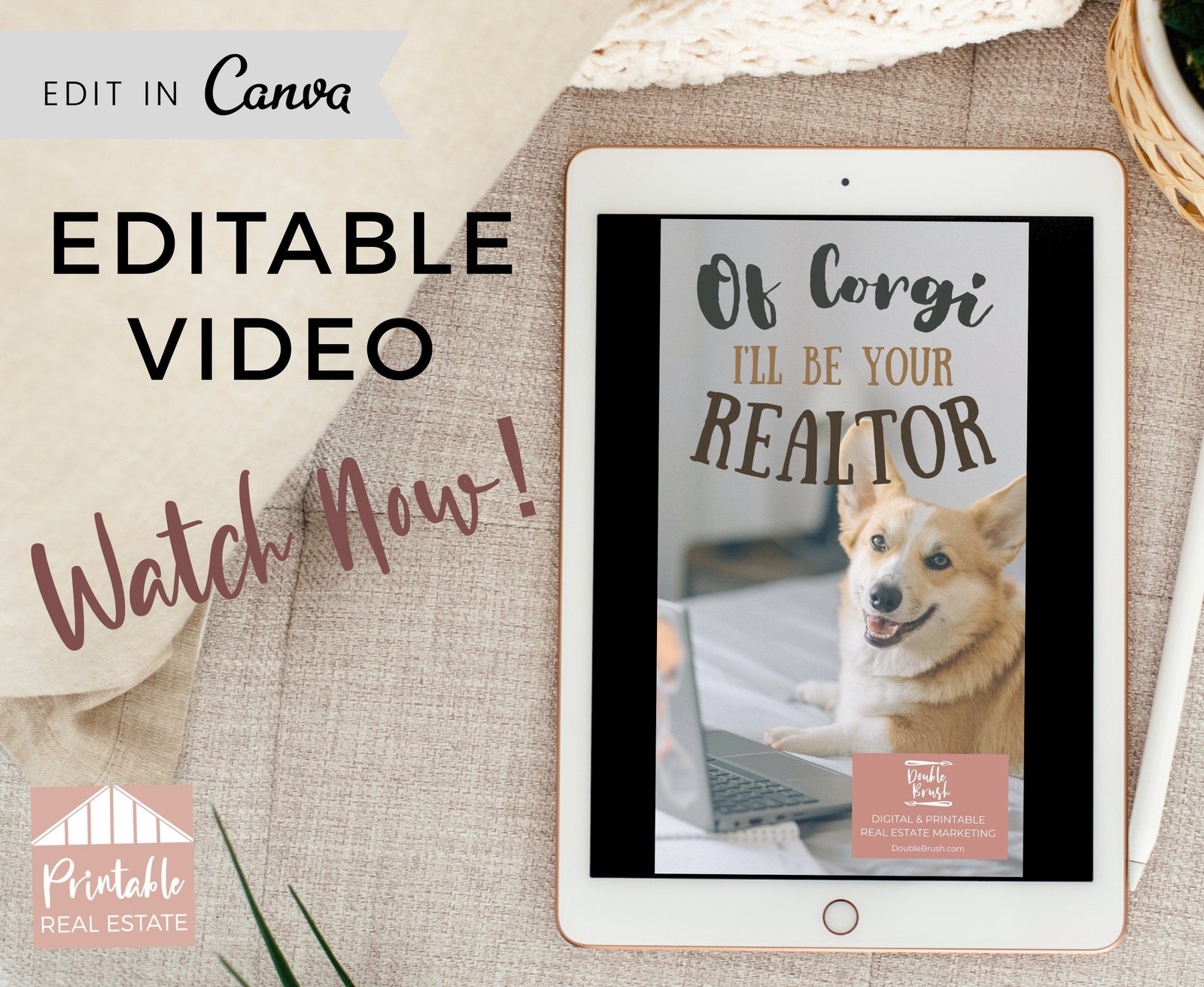 Funny Animal Real Estate Marketing Video Editable Animated Template, Corgi Dog