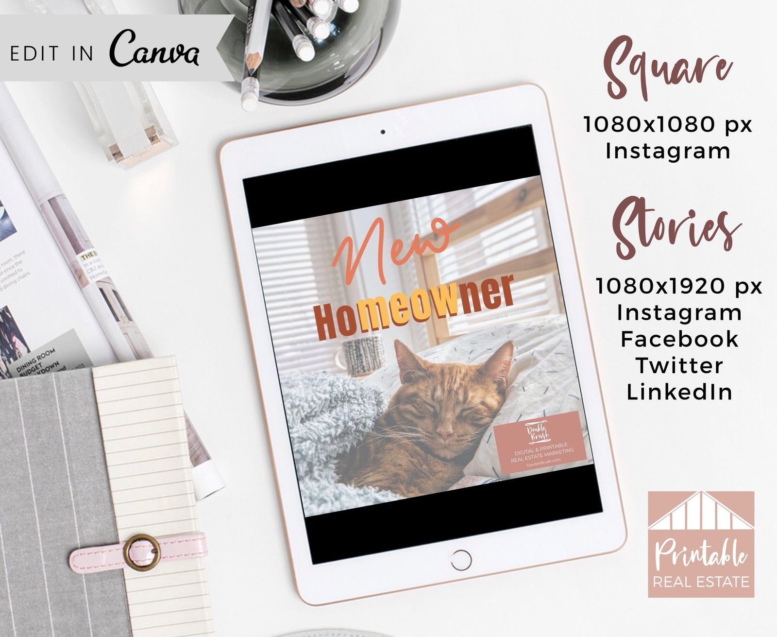 Funny Cat Real Estate Marketing Video Template, Social Media Instagram Facebook