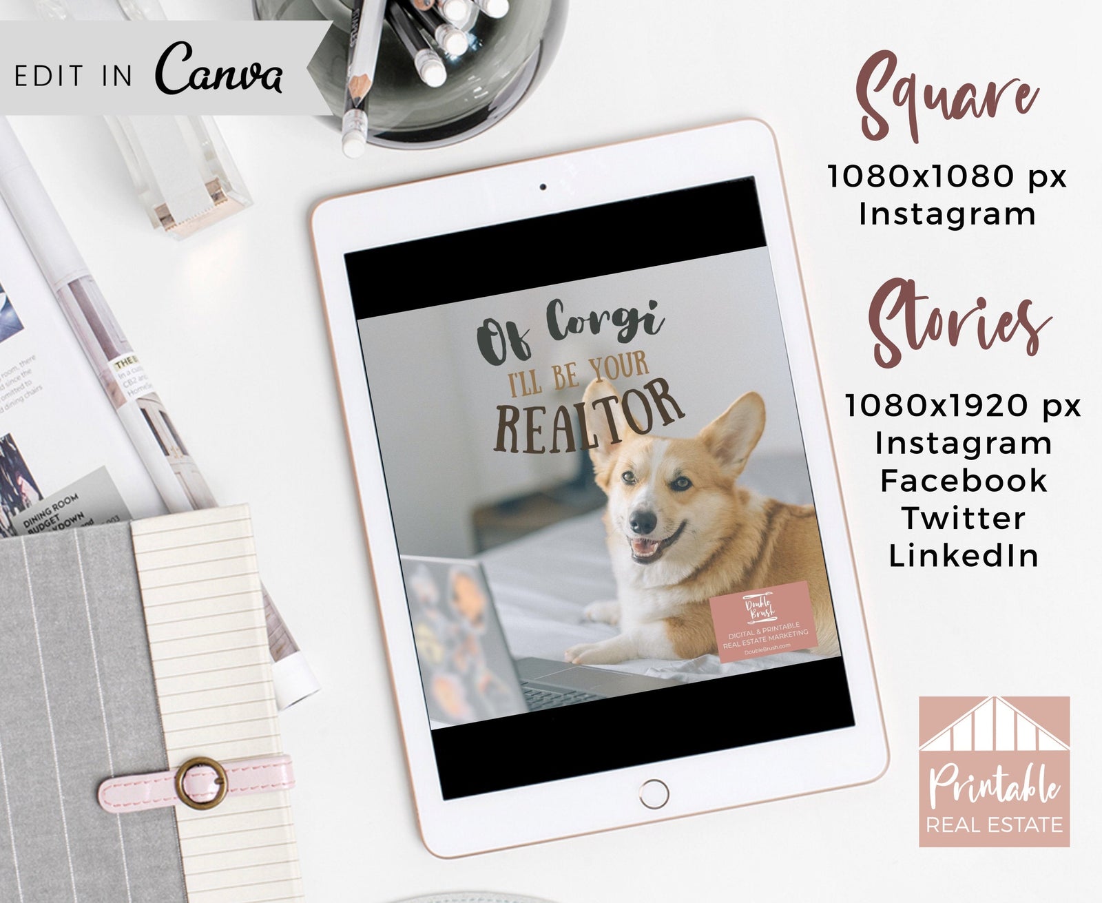 Funny Animal Real Estate Marketing Video Editable Animated Template, Corgi Dog