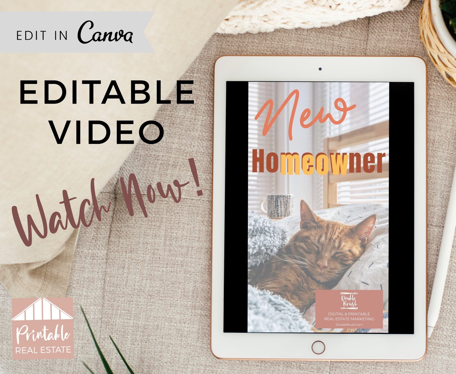 Funny Cat Real Estate Marketing Video Template, Social Media Instagram Facebook